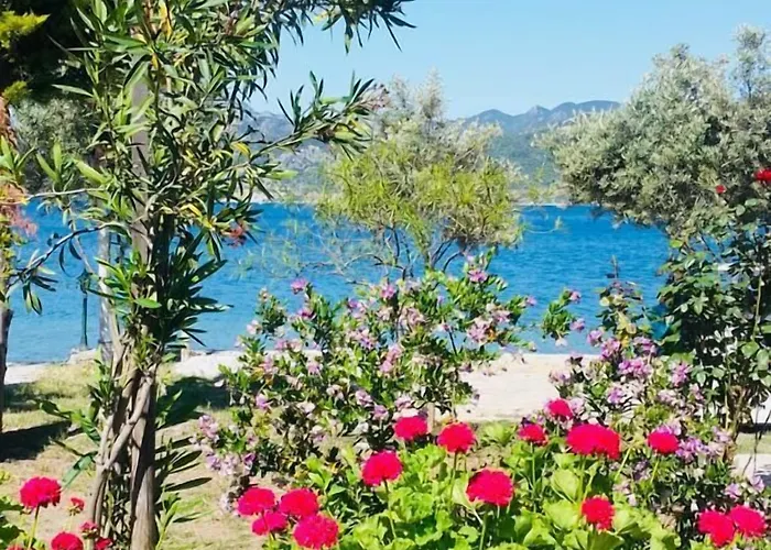 Salkim Sahil Evi Hotel Selimiye (Aegean)